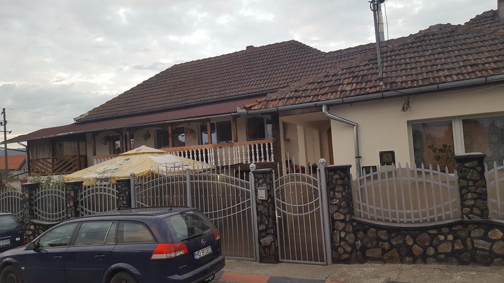 Apartamento Casa Leo Haţeg Exterior foto