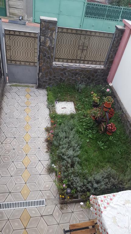 Apartamento Casa Leo Haţeg Exterior foto